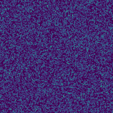MT19937 (Mersenne Twister) phase plot