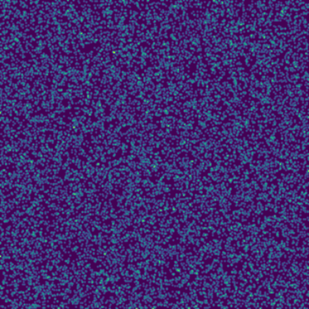 White Noise phase plot