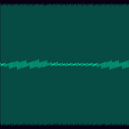 Phyllotaxis timeseries